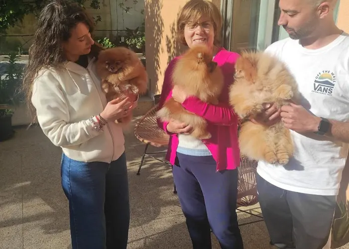 Gasthof Domus Graciosa