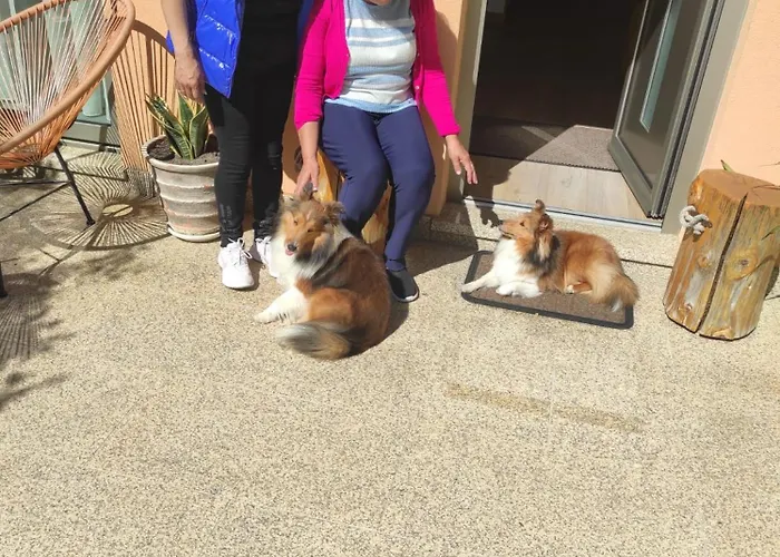 Domus Graciosa Gasthof 4*